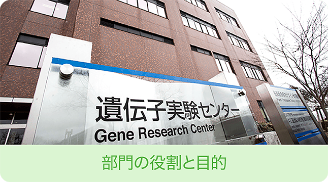 センターの役割と目的｜筑波大学遺伝子実験センター