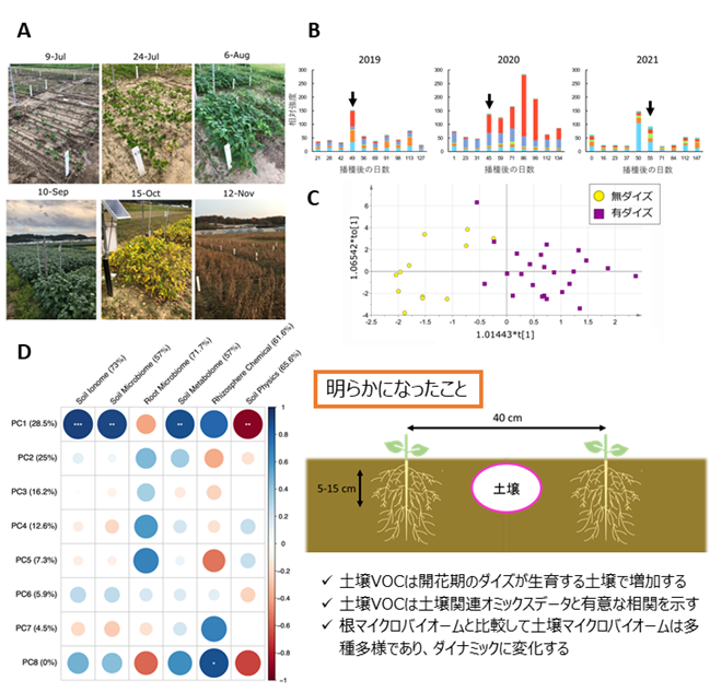 【プレスリリース】土壌揮発性有機化合物プロファイルがダイズ圃場の土壌評価に有効page-visual 【プレスリリース】土壌揮発性有機化合物プロファイルがダイズ圃場の土壌評価に有効ビジュアル