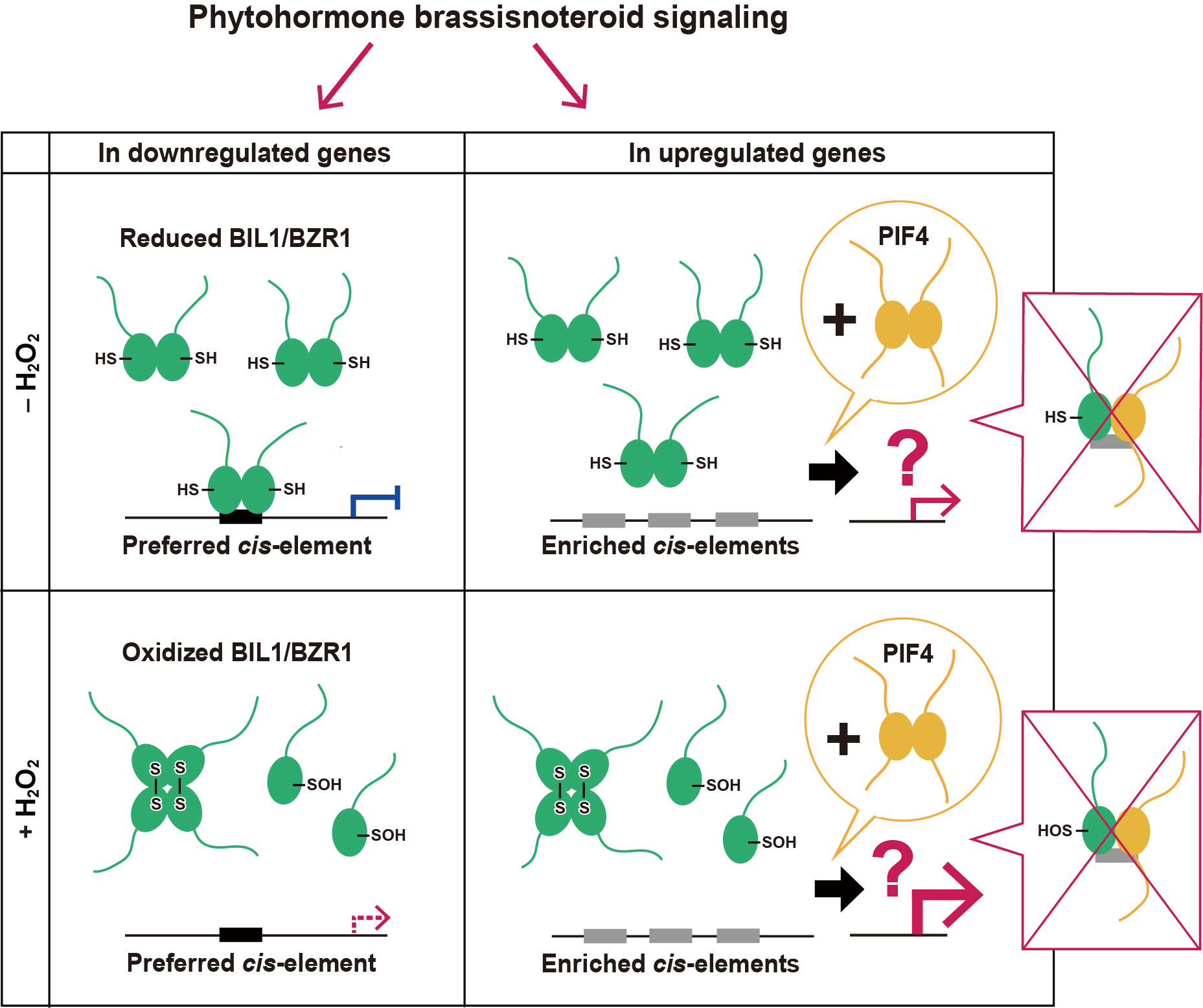 <i>FEBS Letters</i> 誌に野﨑助教等の研究成果が掲載されましたpage-visual <i>FEBS Letters</i> 誌に野﨑助教等の研究成果が掲載されましたビジュアル